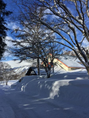 Гостиница Canopy Cortina Lodge  Уезд Китаадзуми